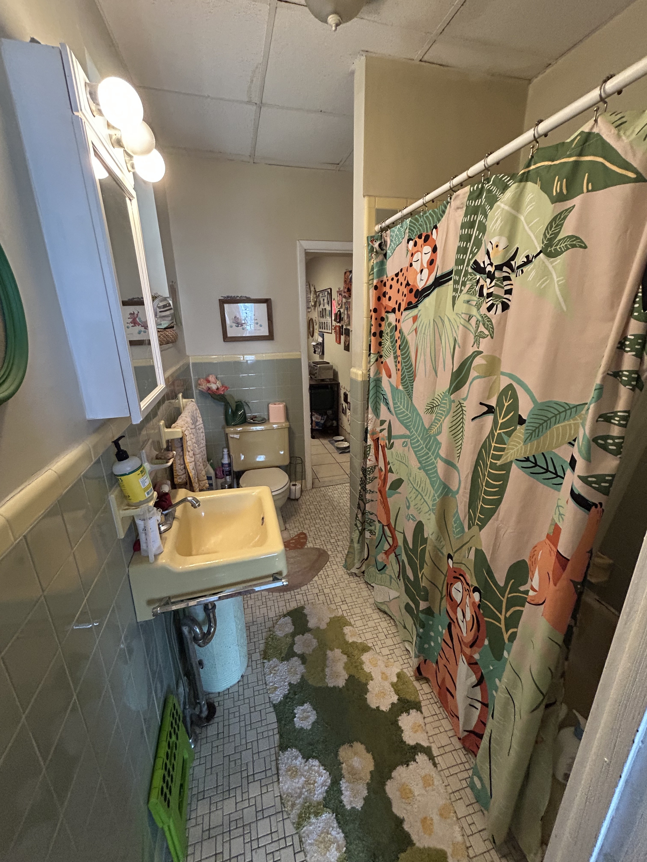 Property thumbnail image